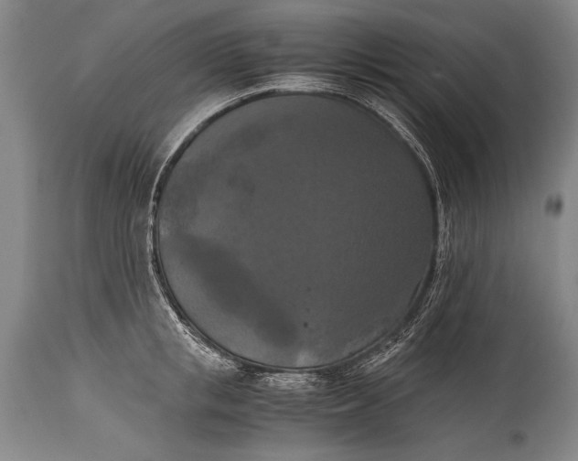X0000115410853200911171358