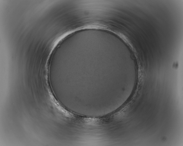 X0000115410854200911171358