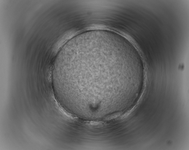 X0000115410857200911171358