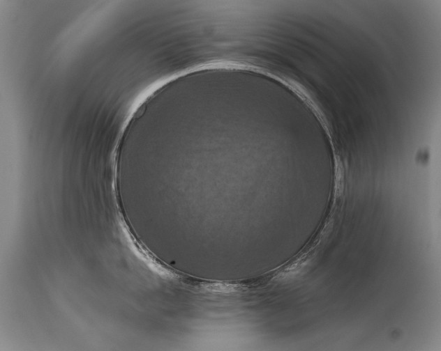 X0000115410862200911171358