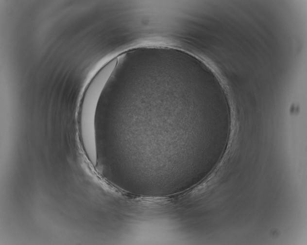 X0000115410864200911171358