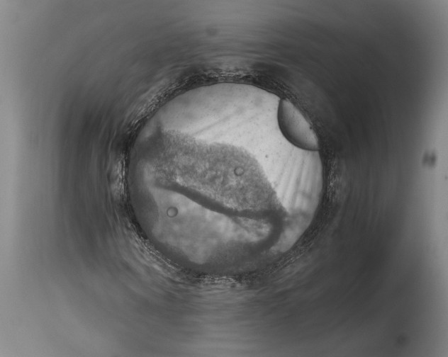 X0000115410866200911171357