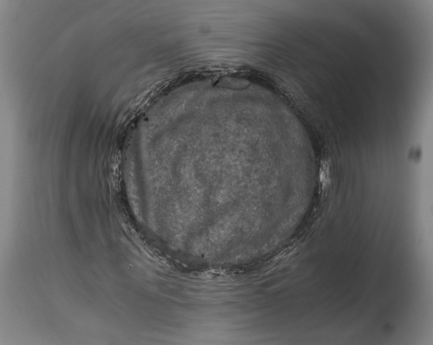 X0000115410867200911171357