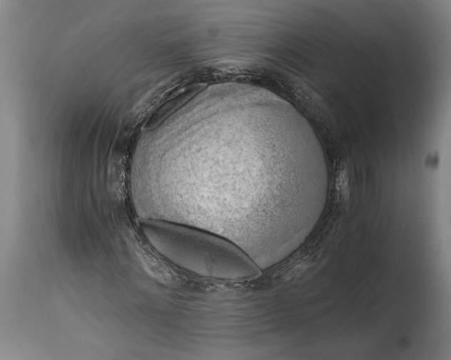 X0000115410868200911171357
