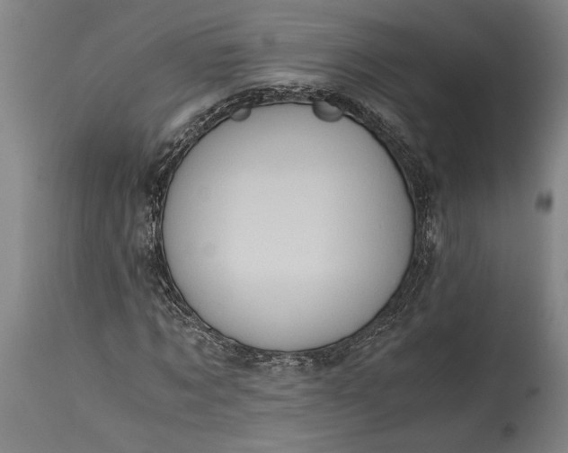 X0000115410869200911171357