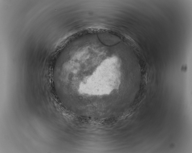 X0000115410870200911171357