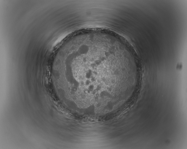 X0000115410871200911171357
