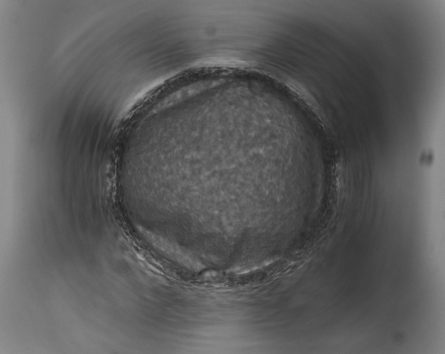 X0000115410872200911171357