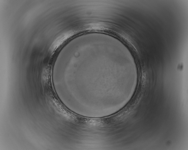 X0000115410874200911171357