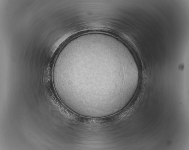 X0000115410875200911171357