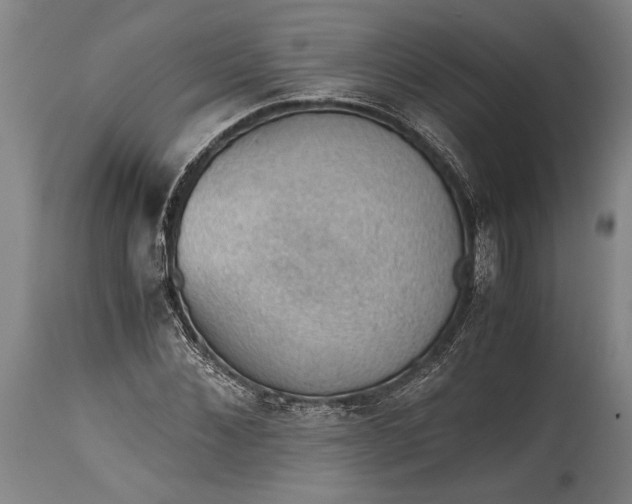 X0000115410876200911171357