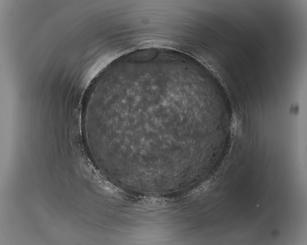 X0000115410877200911171357