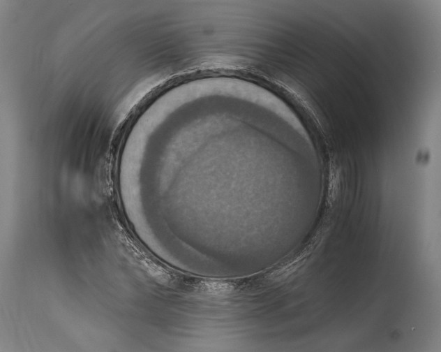 X0000115410878200911171357