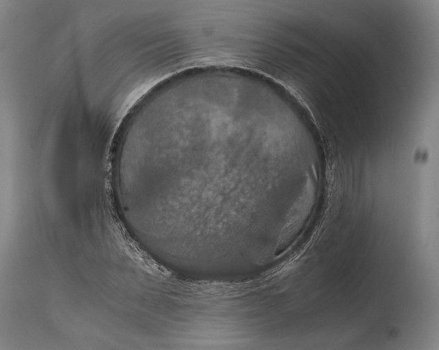 X0000115410879200911171357