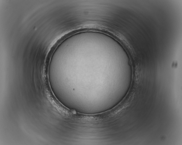 X0000115410880200911171357