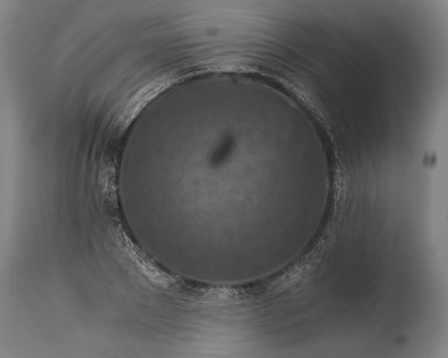 X0000115410881200911171357