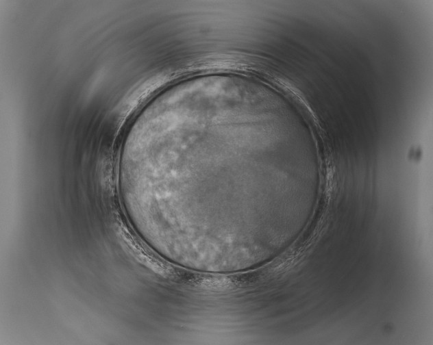 X0000115410882200911171357