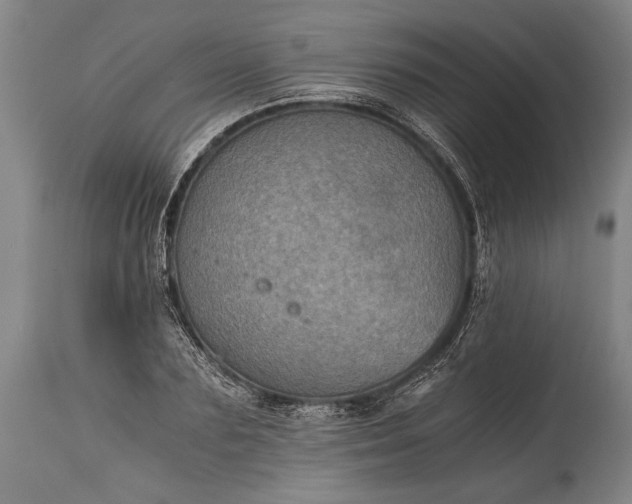 X0000115410883200911171357