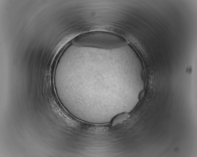 X0000115410884200911171357