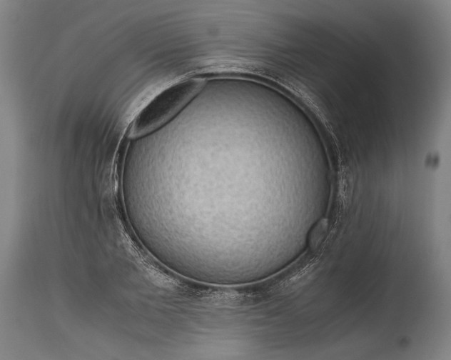 X0000115410885200911171357