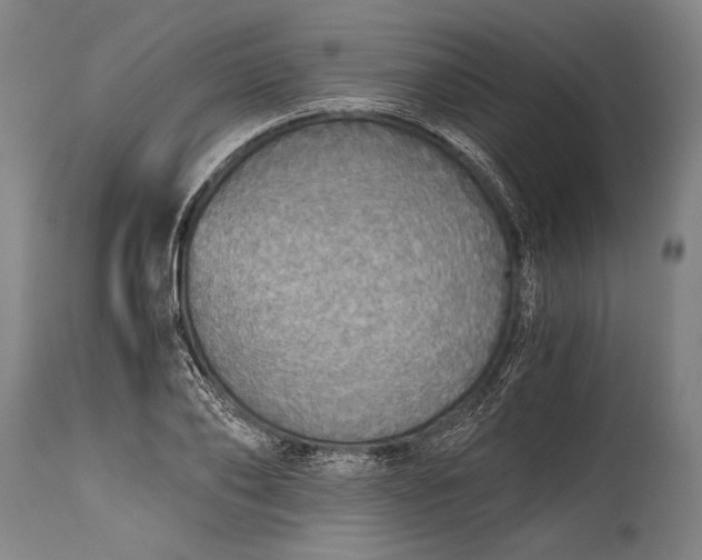X0000115410886200911171357