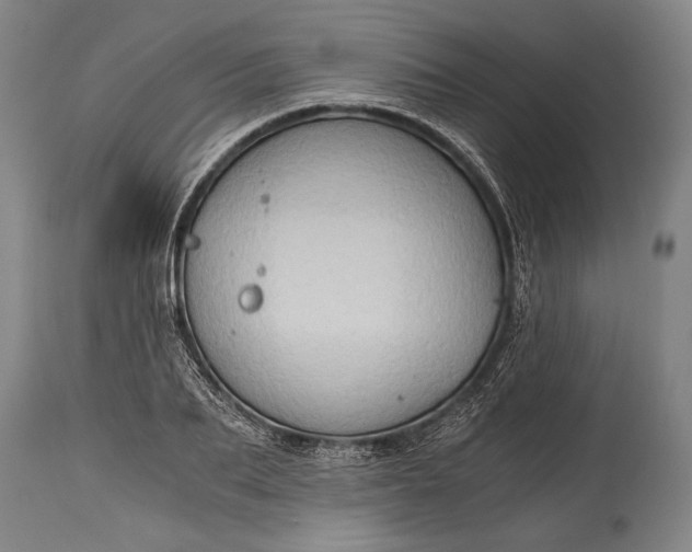 X0000115410887200911171357