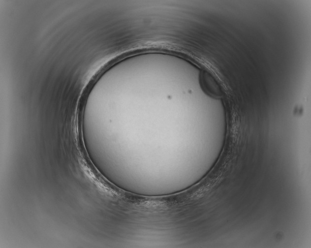 X0000115410888200911171357