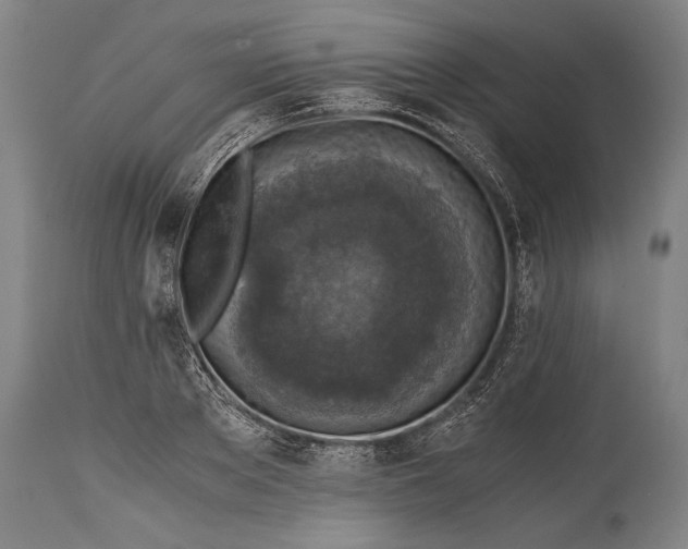 X0000115410889200911171357