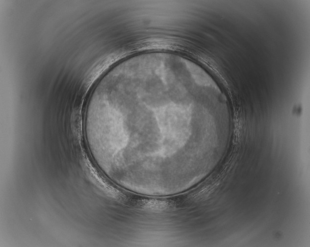 X0000115410890200911171357