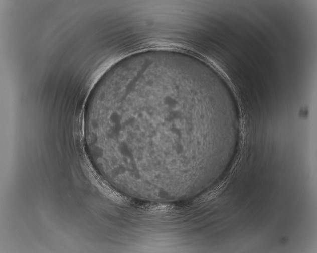 X0000115410891200911171357