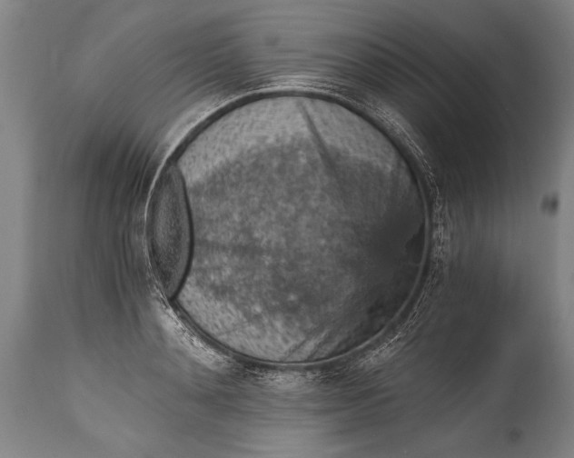 X0000115410892200911171357