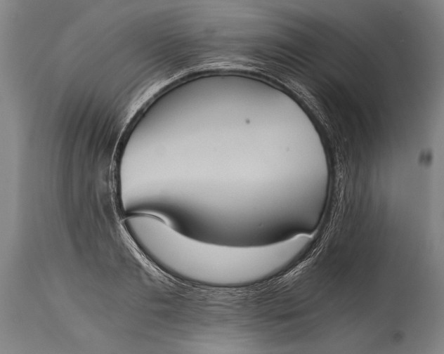 X0000115410893200911171357
