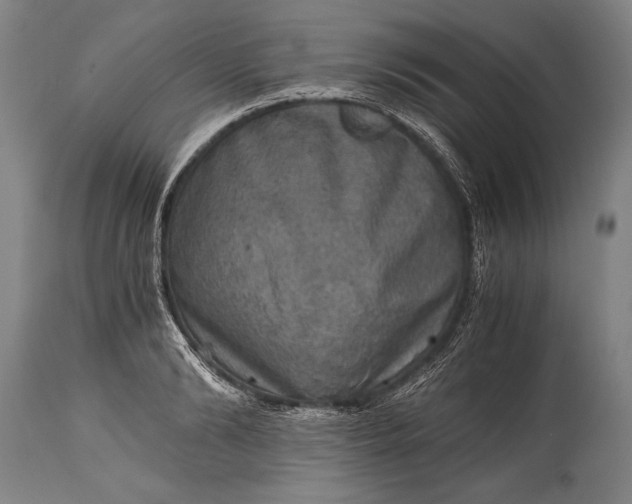 X0000115410894200911171357