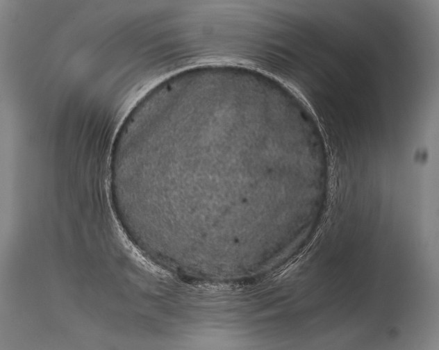 X0000115410895200911171357