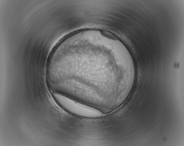 X0000115410896200911171357