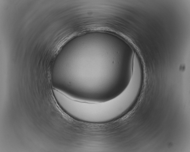 X0000115410897200911171357
