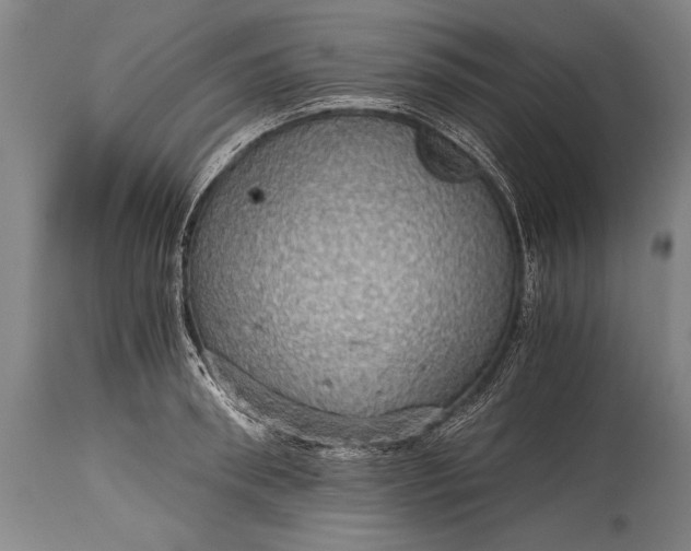 X0000115410898200911171357