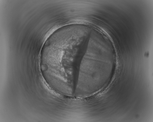 X0000115410899200911171357