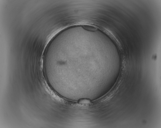X0000115410900200911171357