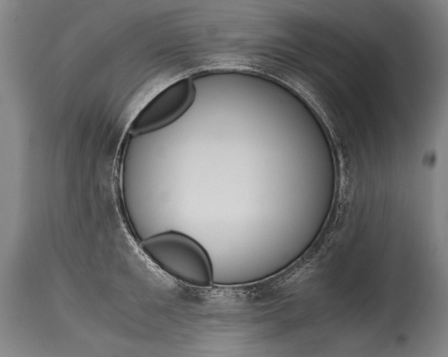 X0000115410901200911171357