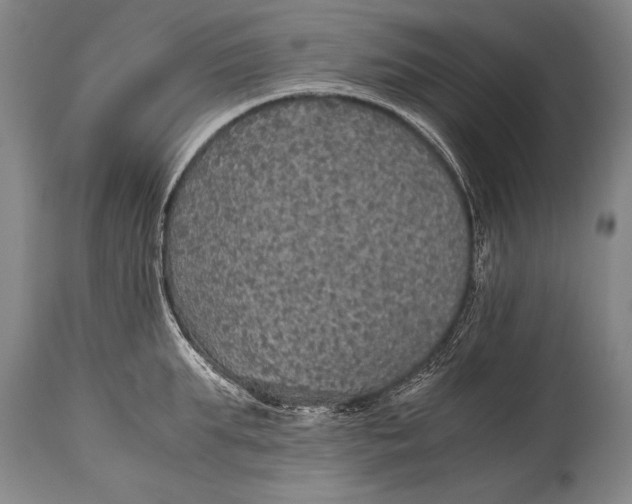 X0000115410903200911171356