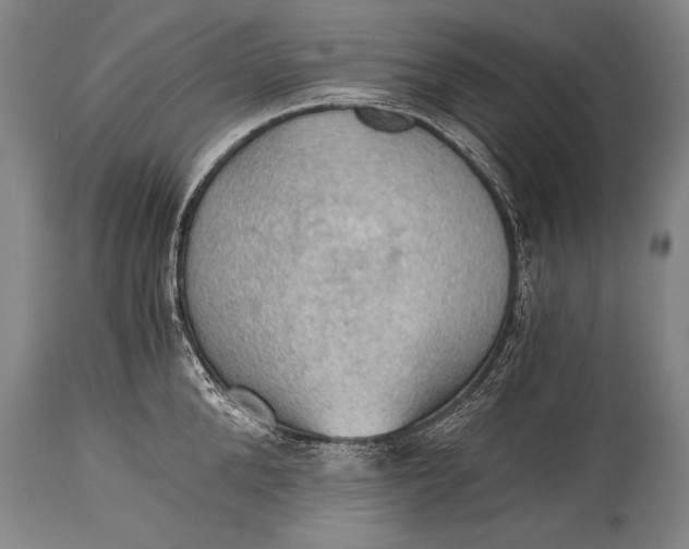 X0000115410904200911171356
