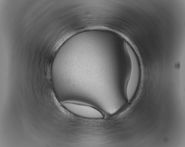 X0000115410905200911171356