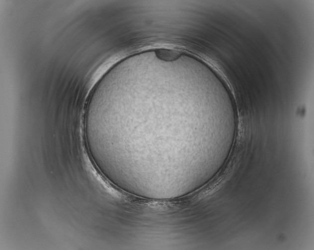 X0000115410906200911171356