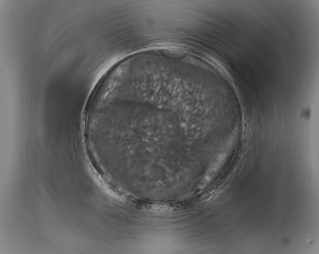 X0000115410907200911171356