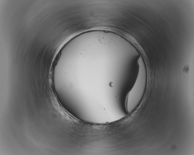 X0000115410908200911171356