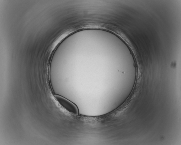 X0000115410909200911171356