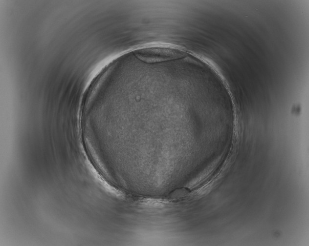 X0000115410910200911171356