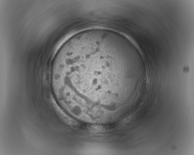 X0000115410911200911171356