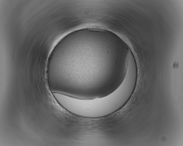 X0000115410912200911171356